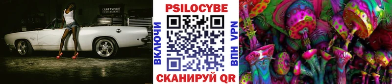 Псилоцибиновые грибы Psilocybine cubensis  Дорогобуж 